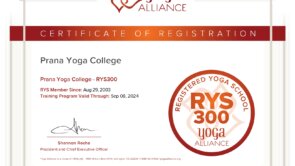 yoga alliance certificate 300